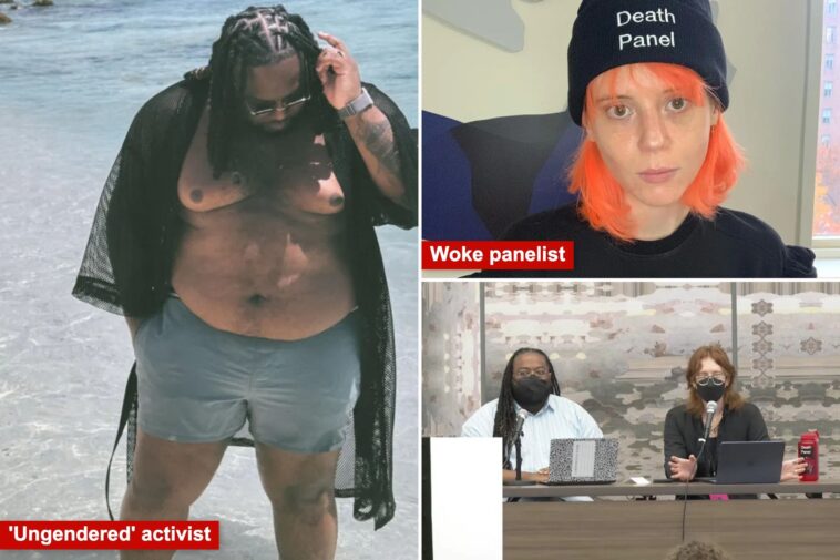 ‘ungendered’-activist-claims-glp-1s-are-‘fascist’-and-‘genocide-fat-people’-in-unhinged-moment-during-dsa-conference