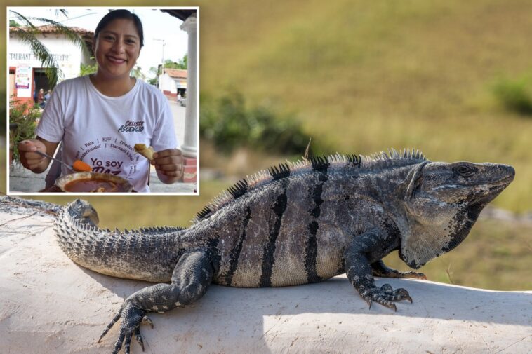 mexican-lawmaker-facing-backlash-for-eating-traditional-iguana-soup-—-species-protected-under-country’s-environmental-regulations