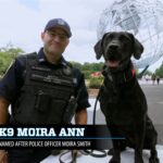 nypd-names-k-9s-after-fallen-9/11-heroes-—-read-the-stories-behind-each-of-ny’s-finest