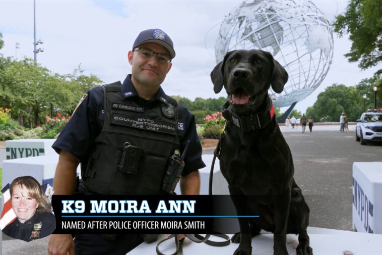 nypd-names-k-9s-after-fallen-9/11-heroes-—-read-the-stories-behind-each-of-ny’s-finest