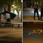 2-shot-and-killed-after-bullets-fly-at-nyc-playground,-police-say