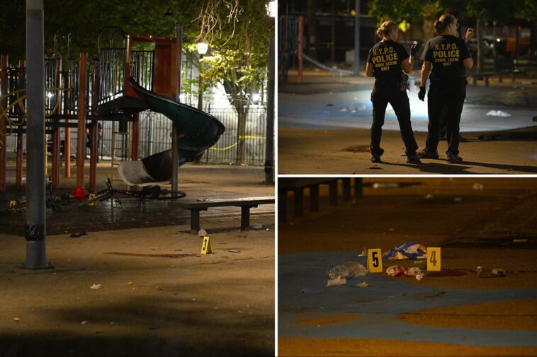 2-shot-and-killed-after-bullets-fly-at-nyc-playground,-police-say