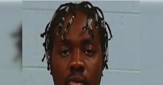benedict-chinedu-ogbodiegwu-charged-in-random-fatal-stabbing-of-college-researcher,-62,-on-texas-park-bench