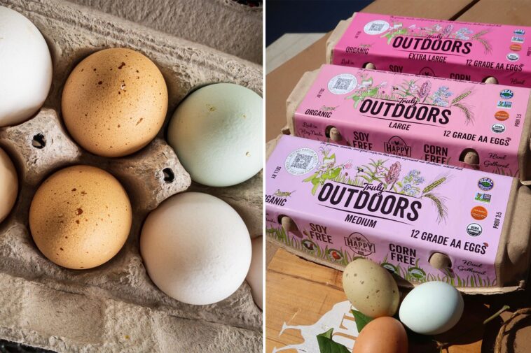 california-farm-issues-urgent-egg-recall-over-salmonella-fears