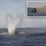 ukraine-and-russia-clash-in-‘first-ever’-drone-battle-at-sea,-video-shows