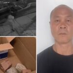 rock-throwing-vandal-terrorized-md.-neighborhoods-—-causing-thousands-in-damage:-video