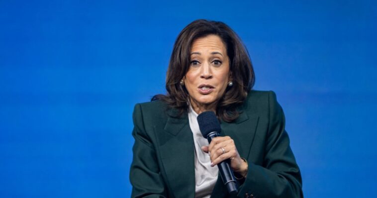 police-called-to-kamala-harris’s-malibu-mansion-after-unknown-woman-‘illegally-entered’