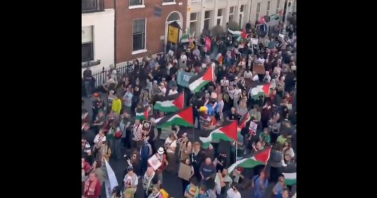 so-there-was-a-protest-saturday-against-donald-trump-in-dublin-–-they-were-waving-palestinian-flags…-in-ireland!-wth-was-that?