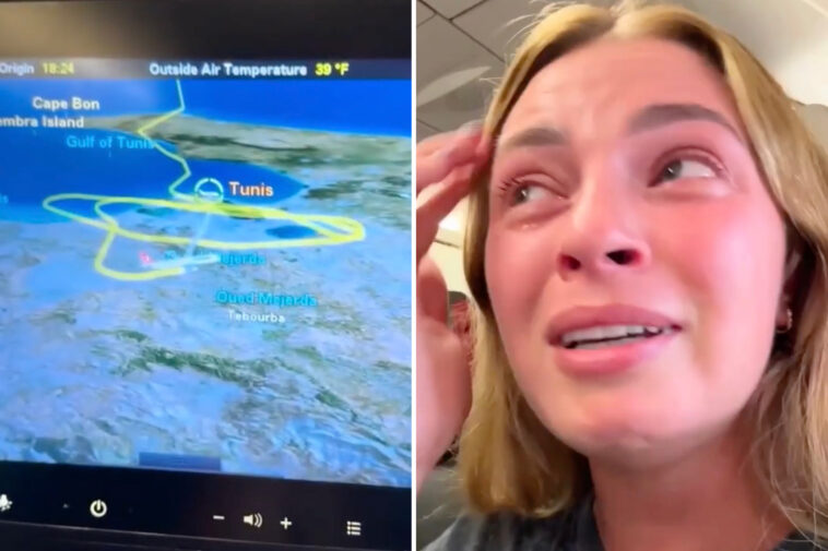 turkish-airlines-flight-‘started-to-plummet’-after-trying-to-land-3-times-during-storm:-‘absolutely-terrifying’