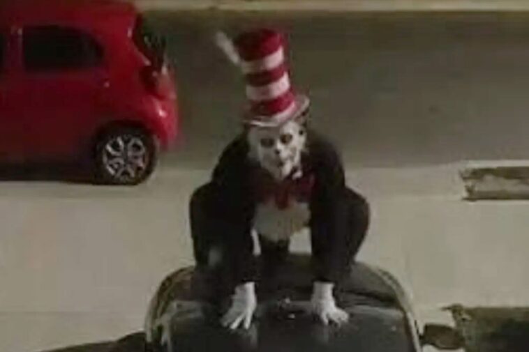 terrifying-‘cat-in-the-hat’-trend-targets-california-school-kids