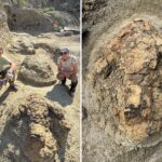us-archaeologists-unearth-first-footprints-of-running-t-rex:-‘incredibly-rare’
