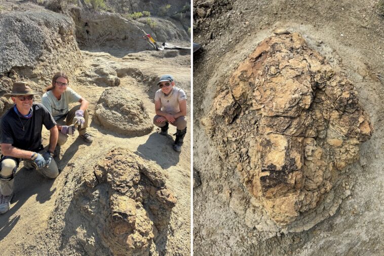 us-archaeologists-unearth-first-footprints-of-running-t-rex:-‘incredibly-rare’