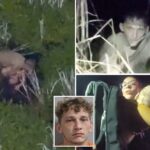 florida-dui-suspect-drops-baby,-toddler-into-gator-infested-swamp-while-running-from-cops:-video