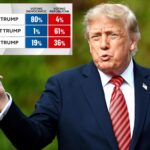 trump-fuels-voters-on-both-sides-in-midterm-elections,-but-dems-have-upper-hand:-poll