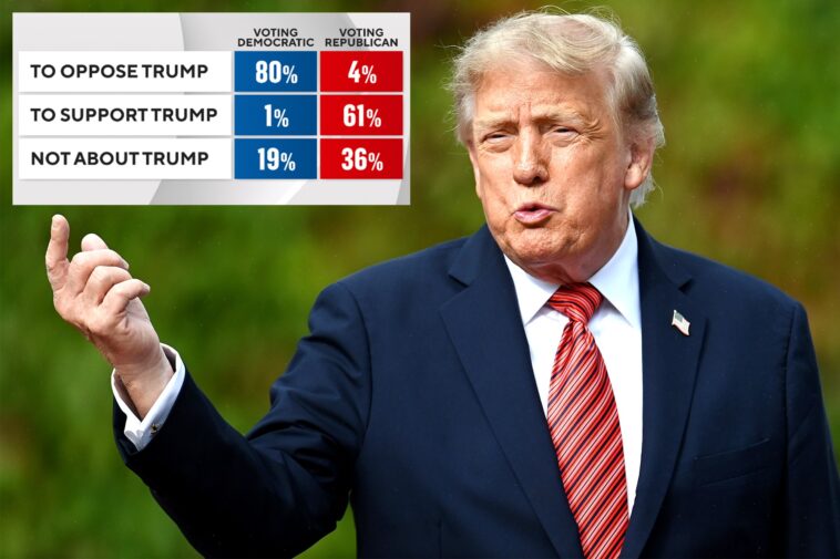 trump-fuels-voters-on-both-sides-in-midterm-elections,-but-dems-have-upper-hand:-poll