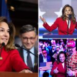 pol-behind-the-gop’s-‘common-sense-vs.-communist-crazy’-messaging-strategy-revealed-to-be-lisa-mcclain