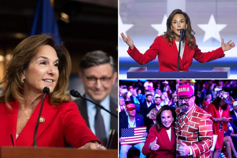 pol-behind-the-gop’s-‘common-sense-vs.-communist-crazy’-messaging-strategy-revealed-to-be-lisa-mcclain