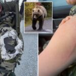 alaska-moose-hunter-remarkably-survives-bear-attack:-‘glad-i-blacked-out’
