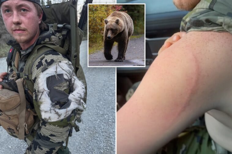 alaska-moose-hunter-remarkably-survives-bear-attack:-‘glad-i-blacked-out’