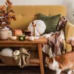 make-your-home-cozier-for-fall-with-these-upgrades-under-$50
