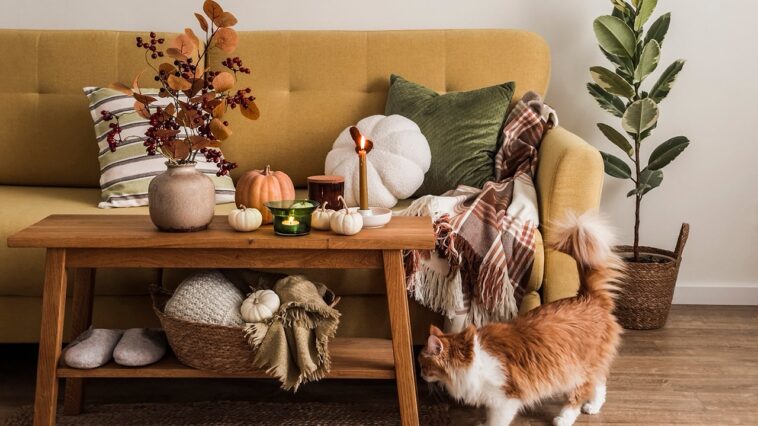 make-your-home-cozier-for-fall-with-these-upgrades-under-$50