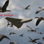 powder-keg-baltics:-lithuania’s-drone-scare-has-nato-scrambling-fighter-jets-to-intercept…-a-flock-of-birds!