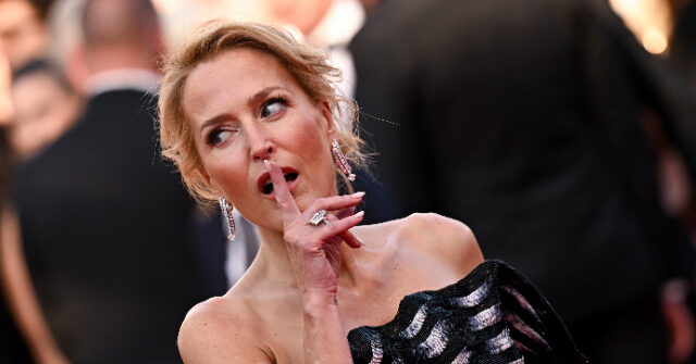 ‘x-files’-star-gillian-anderson-says-she’s-pansexual-after-dating-men-and-women