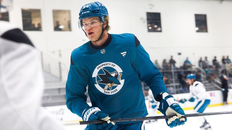 7-foot-1-sharks-prospect-alexander-karmanov-drops-gloves-with-kings-rookie-in-wild-viral-brawl