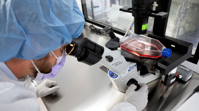 how-ai-could-transform-cancer-treatment-and-medicine
