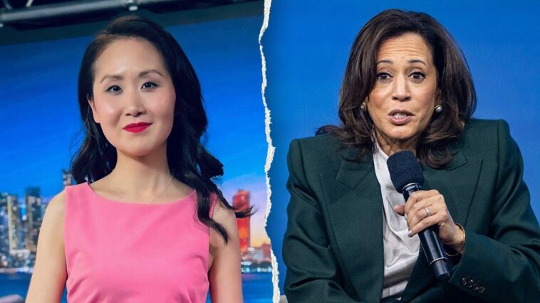 ex-dem-insider-exposes-what-harris-told-top-donors-days-before-biden-dropped-out:-‘insulting’