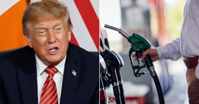 trump-gives-huge-update-on-russia-ukraine-war-that-could-ease-pain-at-the-gas-pumps