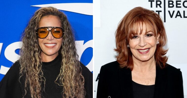 watch:-sunny-hostin-delivers-worst-racial-gripe-in-history-–-so-bad-that-joy-behar-herself-takes-her-apart-on-‘the-view’