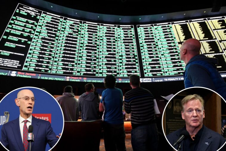 sports-leagues-unite-to-push-for-strict-punishments-—-including-lifetime-bans-—-for-harassing-bettors