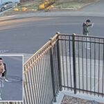 knife-wielding-lunatic-storms-into-random-california-family’s-garage-and-slashes-mom-and-daughter
