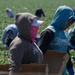 exclusive:-feds-uncover-massive-fraud-scheme-tied-to-illegal-alien-smuggling-operation