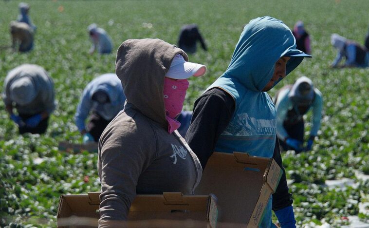 exclusive:-feds-uncover-massive-fraud-scheme-tied-to-illegal-alien-smuggling-operation