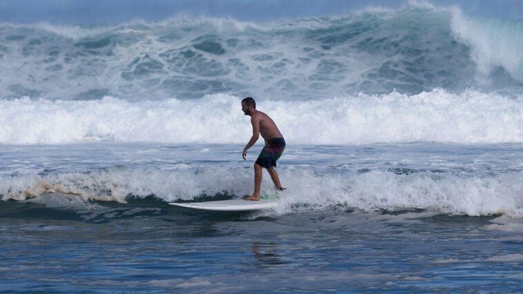 australian-surfer-risked-his-life-to-save-fellow-surfer-who-had-been-attacked-by-a-shark
