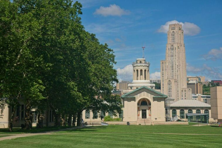 ‘die-first,-white-man’:-professor-lands-in-hot-water-over-racist-social-media-posts