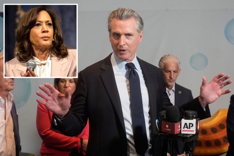 gavin-newsom’s-vow-not-to-run-against-kamala-harris-branded-‘impossible-to-believe’
