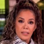 watch:-sunny-hostin-delivers-worst-racial-gripe-in-history-–-so-bad-that-joy-behar-herself-takes-her-apart-on-‘the-view’