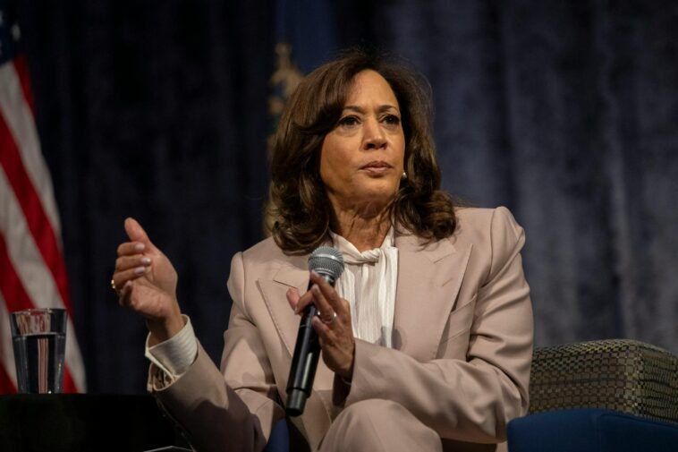 kamala-wants-an-ai-slowdown-treaty-with-china.-what-could-go-wrong?