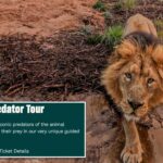 zoo-advertises-‘child-predator-tour’-in-cringeworthy-mistake:-‘seems-a-bit-dangerous’