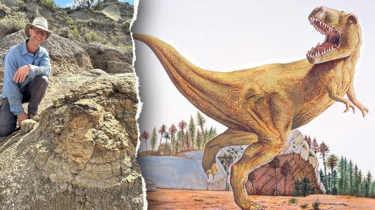 t-rex-footprints-unearthed-in-first-ever-discovery-66-million-years-after-creature-walked-the-earth