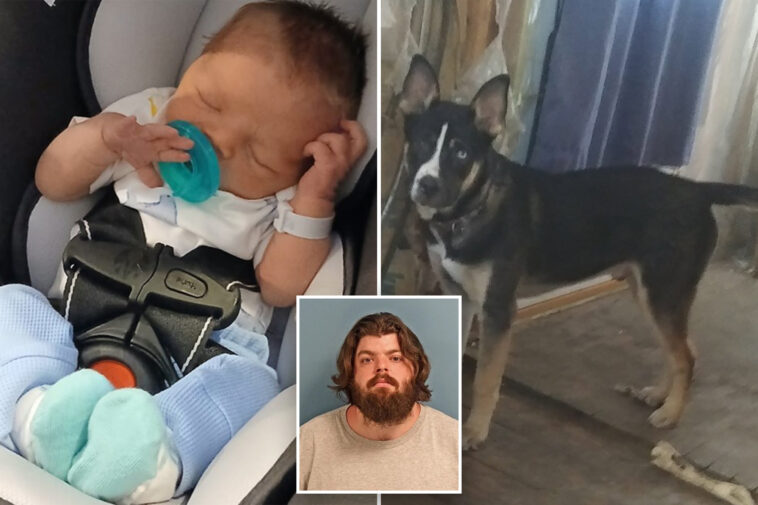 newborn-killed-by-family-dog,-chomp,-who-bit-him-180-times-in-squalid-home