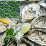 fourth-floridian-dies-from-flesh-eating-bacteria-tied-to-raw-or-undercooked-oysters