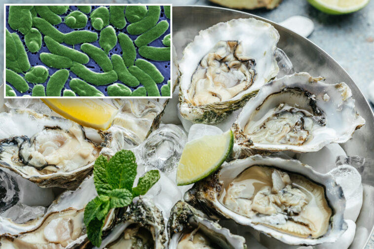 fourth-floridian-dies-from-flesh-eating-bacteria-tied-to-raw-or-undercooked-oysters