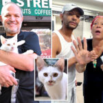 nyc-‘animal-lover’-accused-of-stealing-beloved-bodega-cat-furiously-claims-she-was-unfairly-arrested