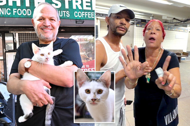 nyc-‘animal-lover’-accused-of-stealing-beloved-bodega-cat-furiously-claims-she-was-unfairly-arrested