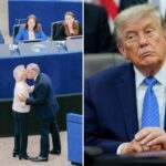 eu-boss-proposes-making-canada-associate-member-amid-trade-fight-with-trump