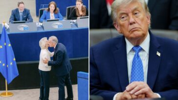eu-boss-proposes-making-canada-associate-member-amid-trade-fight-with-trump